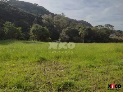Fazenda/Sítio com 1 Quarto à venda, 5000m² no Linha Pirajá Baixa, Nova Petrópolis