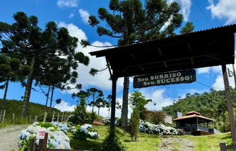 Lote/Terreno à venda, 20000m² no , Urubici