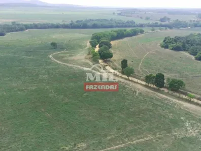 Fazenda/Sítio à venda, 500m² no , Campinorte