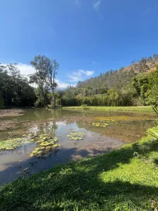 Lote/Terreno à venda, 13968m² no Carangola, Petrópolis