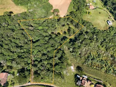 Lote/Terreno à venda, 20000m² no Saltinho, Campo Alegre