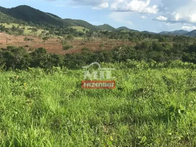 Fazenda/Sítio à venda, 10m² no , São Salvador do Tocantins