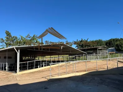 Fazenda/Sítio à venda, 1m² no , Angatuba