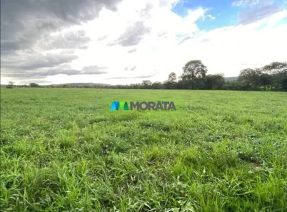 Fazenda/Sítio com 1 Quarto à venda, 37m² no , Pitangui