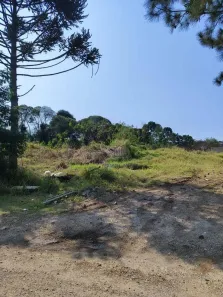 Lote/Terreno à venda, 734m² no Roseira de São Sebastião, São José dos Pinhais