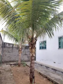 Casa com 2 Quartos à venda, 120m² no Cidade Vera Cruz, Aparecida de Goiânia