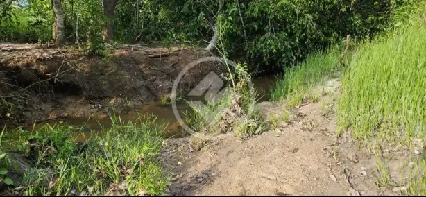 Fazenda/Sítio à venda, 20m² no , Nossa Senhora do Livramento