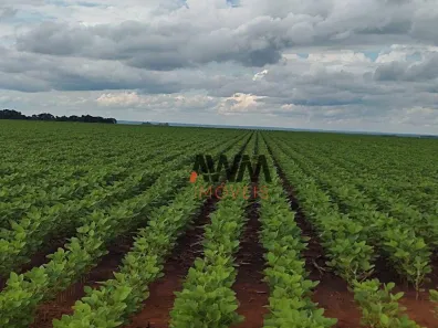 Fazenda/Sítio à venda, 24829200m² no , Pedro Afonso