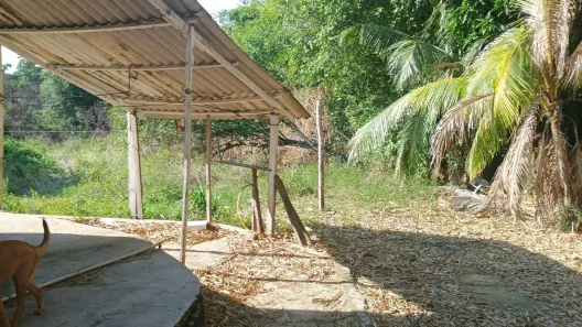 Lote/Terreno à venda, 9300m² no Tarumã, Manaus