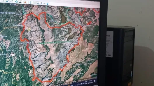Fazenda/Sítio à venda, 13358400m² no , Ponte Alta do Tocantins