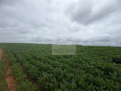 Fazenda/Sítio à venda, 1500m² no Centro, Alfenas