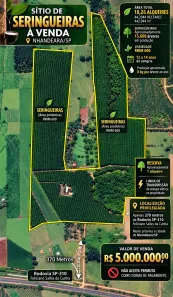 Fazenda/Sítio com 5 Quartos à venda, 442044m² no Centro, Nhandeara