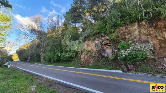 Fazenda/Sítio com 1 Quarto à venda, 5000m² no Bavária, Nova Petropolis