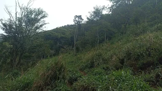 Fazenda/Sítio com 2 Quartos à venda, 100m² no Centro (São Francisco Xavier), São José dos Campos