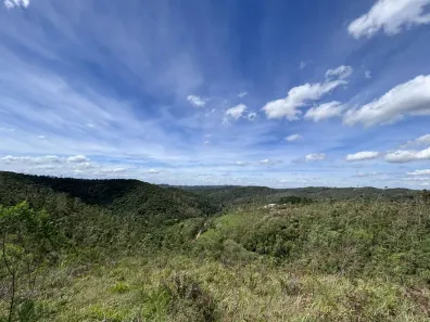 Lote/Terreno à venda, 5000m² no Centro, São Lourenço da Serra