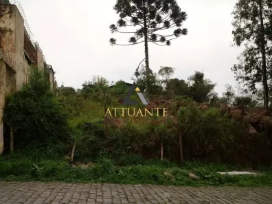 Lote/Terreno à venda, 409m² no São Caetano, Caxias do Sul
