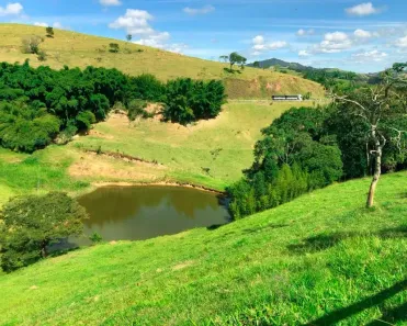 Fazenda/Sítio à venda, 641300m² no Centro, Borda da Mata