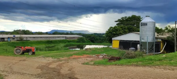 Fazenda/Sítio com 3 Quartos à venda, 90m² no , Porangaba