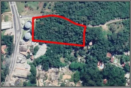 Lote/Terreno à venda, 17197m² no Jardim dos Pereiras (Caucaia do Alto), Cotia
