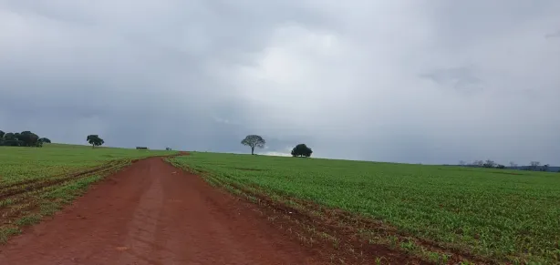 Fazenda/Sítio com 3 Quartos à venda, 254m² no , Jaraguá