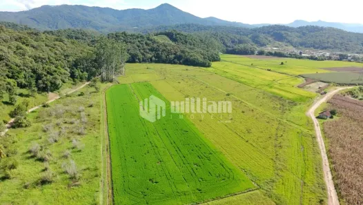 Lote/Terreno à venda, 42000m² no , Guabiruba