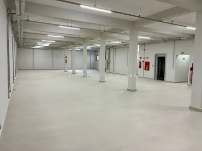 Galpão/Depósito/Armazém para alugar, 2400m² no Cambuci, São Paulo