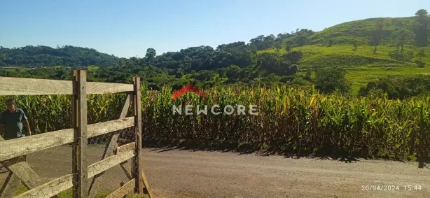 Fazenda/Sítio com 2 Quartos à venda, 15000m² no , Medianeira