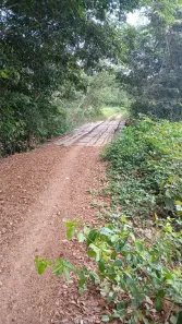 Fazenda/Sítio com 1 Quarto à venda, 7800000m² no , Chapadinha
