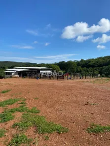 Fazenda/Sítio à venda, 56144m² no , Faina