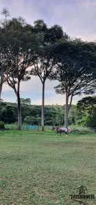 Fazenda/Sítio com 4 Quartos à venda, 11m² no , Alexânia