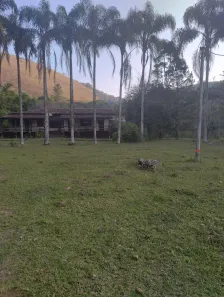 Fazenda/Sítio com 3 Quartos à venda, 968000m² no Zona Rural, Mendes
