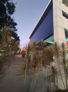Ponto Comercial à venda, 185m² no Ouro Preto, Belo Horizonte