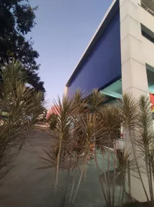 Ponto Comercial à venda, 185m² no Ouro Preto, Belo Horizonte