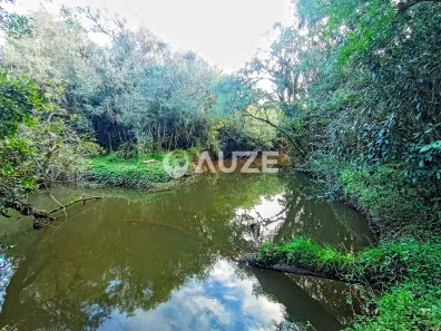 Fazenda/Sítio com 1 Quarto à venda, 10m² no Colônia Murici, São José dos Pinhais