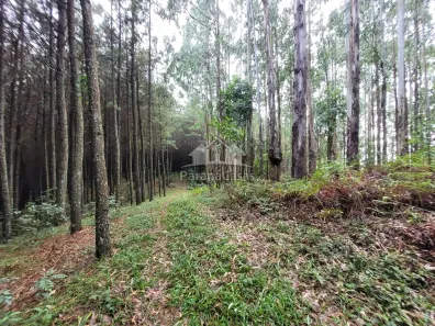 Lote/Terreno à venda, 60500m² no RIO ABAIXO, BOCAIUVA DO SUL