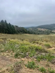 Lote/Terreno à venda, 600m² no Jardim Santa Paula, Cotia