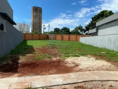 Lote/Terreno à venda, 277m² no Jardim San Marco, Ribeirão Preto