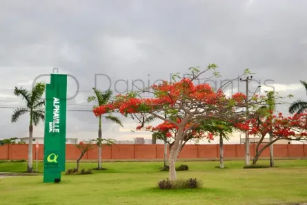 Lote/Terreno à venda, 450m² no Pium (Distrito Litoral), Parnamirim