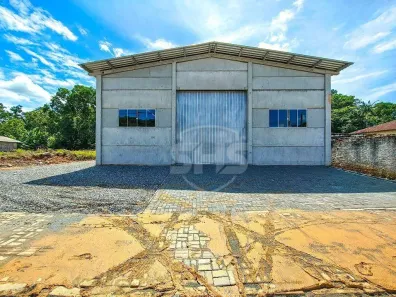 Galpão/Depósito/Armazém para alugar, 300m² no Ribeirão do Bugre, Luiz Alves