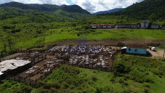 Fazenda/Sítio à venda, 1100m² no Centro, Pau Brasil