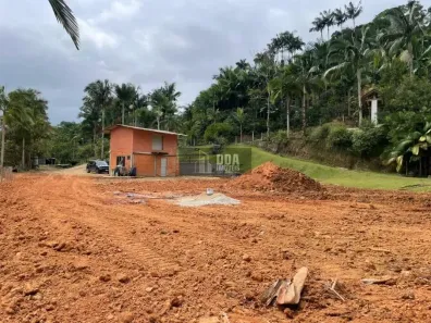 Fazenda/Sítio com 1 Quarto à venda, 48m² no Vila Juckes, São Pedro de Alcântara
