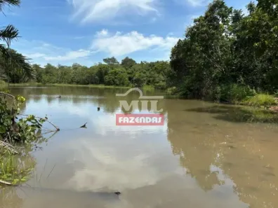 Fazenda/Sítio à venda, 500m² no , Novo Brasil