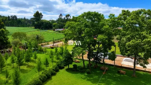 Fazenda/Sítio com 3 Quartos à venda, 145510m² no Área Rural, Rio Negro