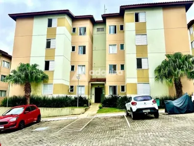 Apartamento com 3 Quartos à venda, 56m² no Estrela, Ponta Grossa