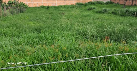 Lote/Terreno à venda, 1000m² no Trevo, Belo Horizonte