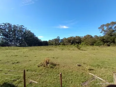 Fazenda/Sítio à venda, 200000m² no Lami, Porto Alegre