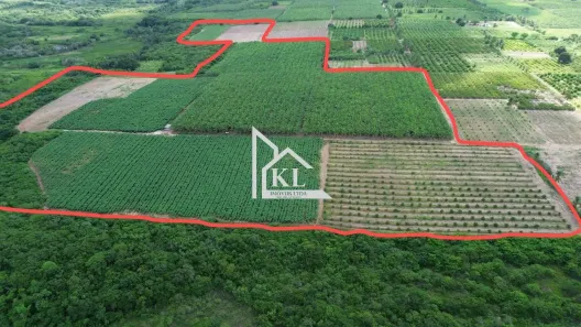 Fazenda/Sítio com 3 Quartos à venda, 1200000m² no , Ceará-Mirim
