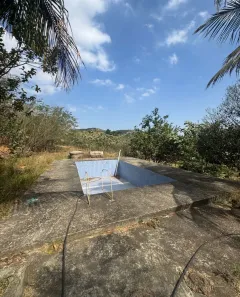 Fazenda/Sítio com 7 Quartos à venda, 20000m² no Luiz de Camões, Queimados