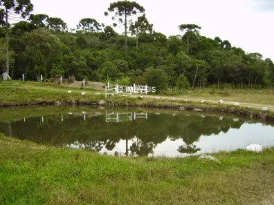 Fazenda/Sítio com 2 Quartos à venda, 338800m² no Ayrton Loyola, Quatro Barras