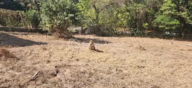 Lote/Terreno à venda, 12m² no Vale Verde, Valinhos
